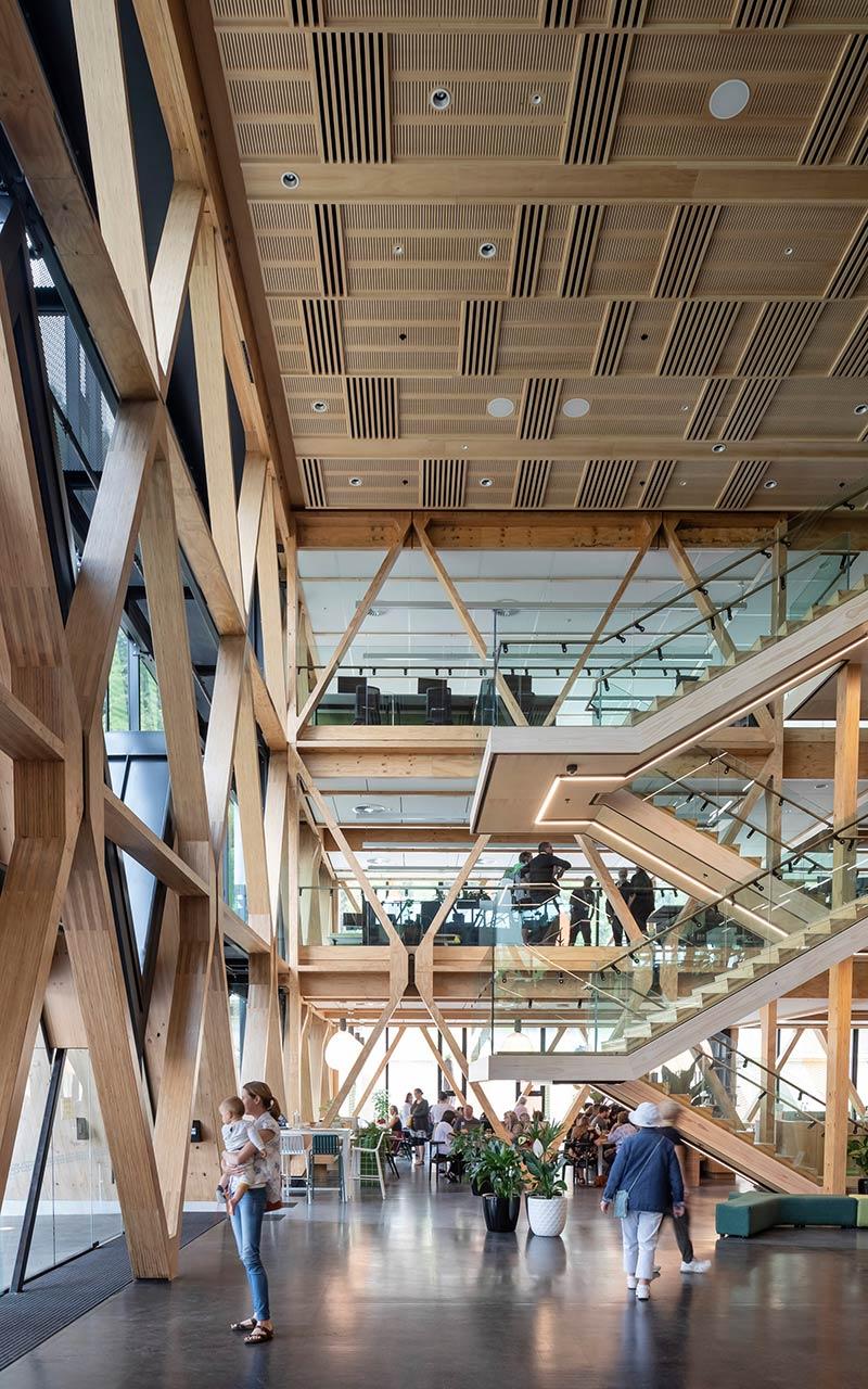 Scion Innovation Hub, New Zealand, RTA Architects, Irbing Smith Architects, Holzbau, Diagrid-Struktur
