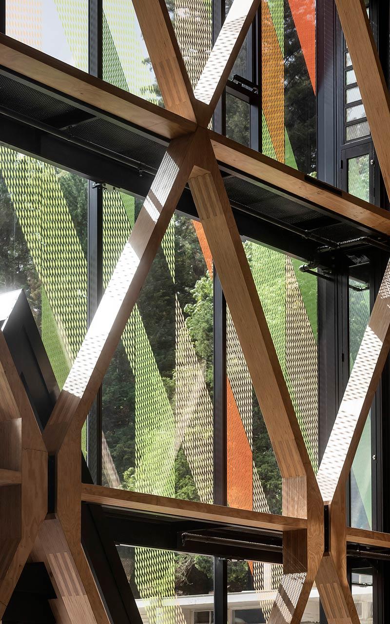 Scion Innovation Hub, New Zealand, RTA Architects, Irbing Smith Architects, Holzbau, Diagrid-Struktur
