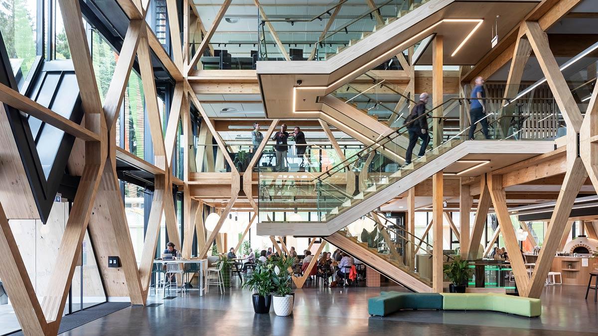 Scion Innovation Hub, New Zealand, RTA Architects, Irbing Smith Architects, Holzbau, Diagrid-Struktur
