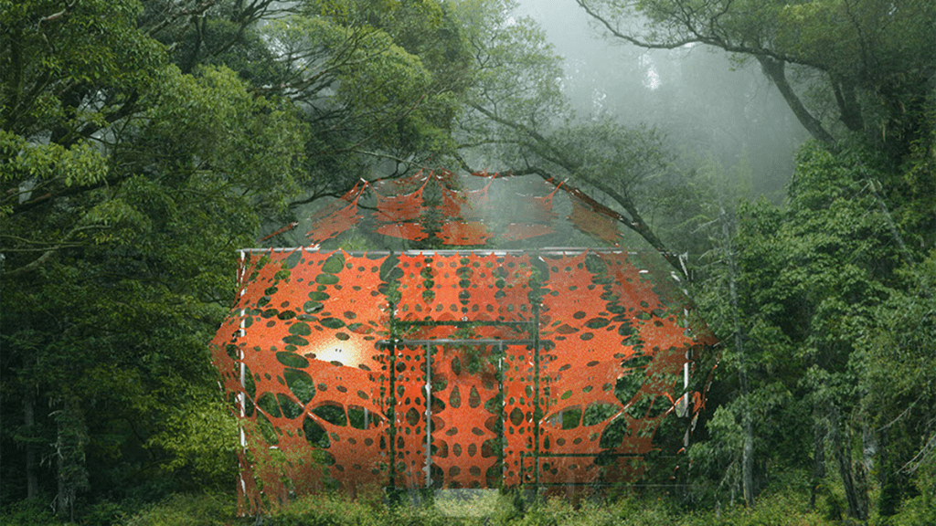 Der Tempel im Regenwald