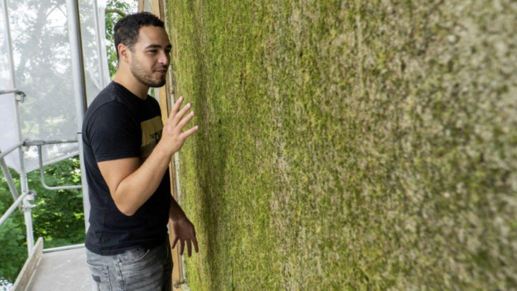 Jede mit Moos bewachsene Fläche, egal ob klein oder groß, wird zu einem autonomen und natürlichen Atmungssystem für die Stadt. 