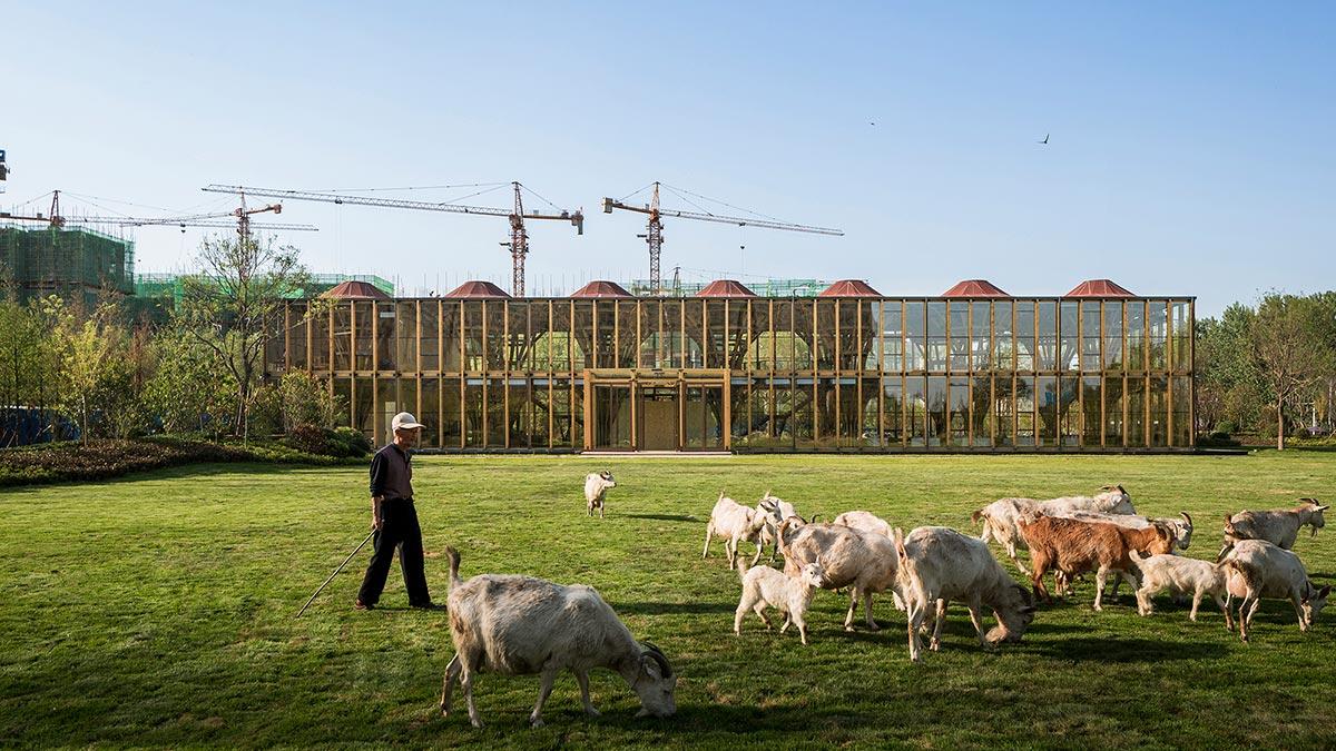 Longfu Life Experience Center, LUO Studio, China, Holzbau
