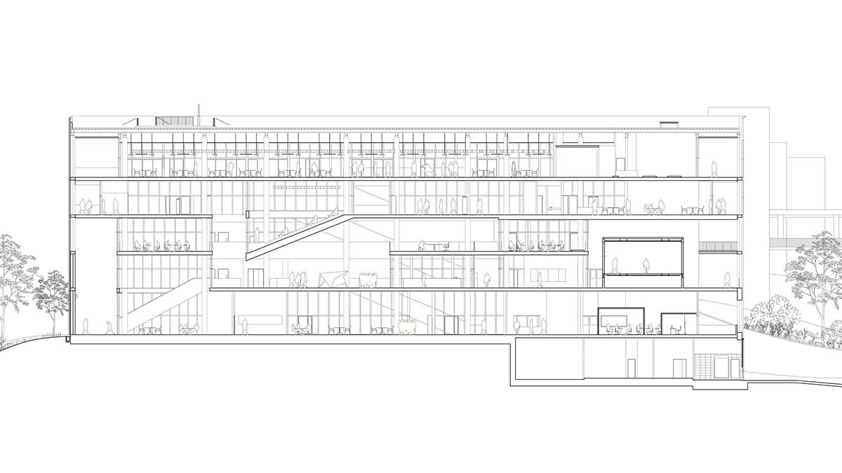 Plan SDE4 von Serie Architects und Multiply Architects